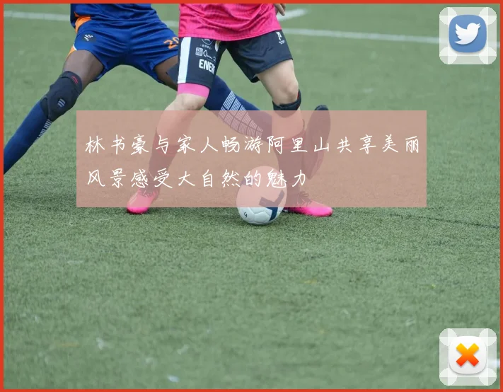 林书豪与家人畅游阿里山共享美丽风景感受大自然的魅力